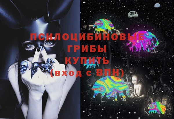 эйфоретик Алзамай