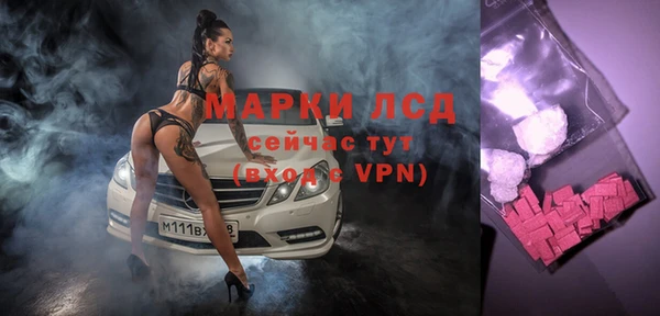 эйфоретик Алзамай