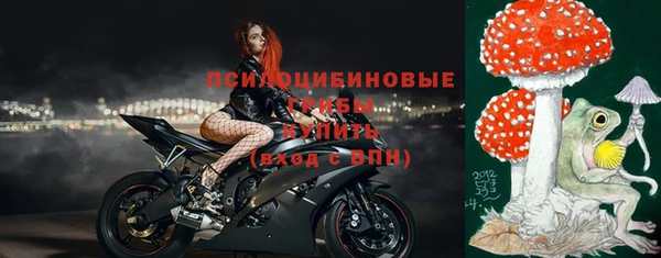 герыч Алексин