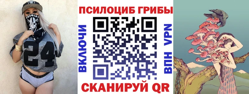 Псилоцибиновые грибы Psilocybine cubensis где купить Калач-на-Дону